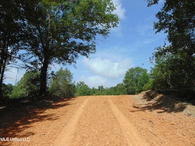 1015 Tarver Ln, Wesson, MS 39191 - photo 2
