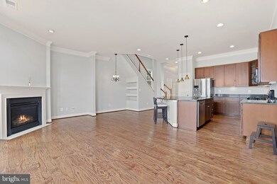 9160 Ribbon Falls Loop, Bristow, VA 20136 - photo 6