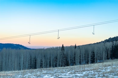 613 N Beaver St unit 5, Flagstaff, AZ 86001 - photo 2