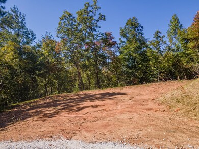 LOT13