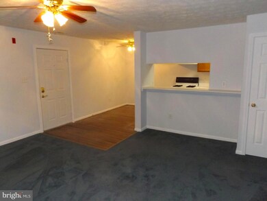 6300 Bayberry Ct unit 1110, Elkridge, MD 21075 - photo 5