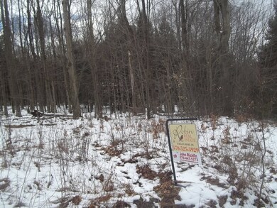 Shaffer Maple lane lot 14