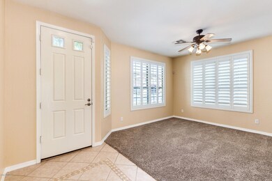 Cedar - 2899 (3)