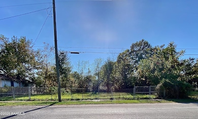 570 E St Peter St, New Iberia, LA 70560 - photo 7