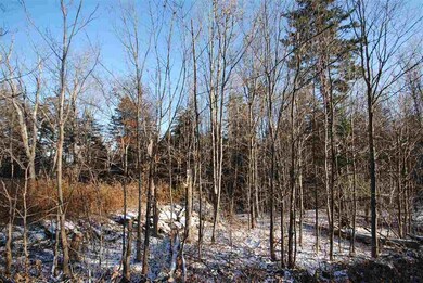 00 Mann Rd unit Lot 3, Wilmington, VT 05363 - photo 7
