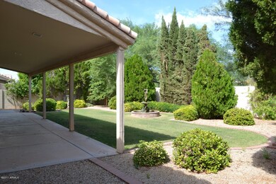 Backyard 4