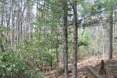 View of local wilderness