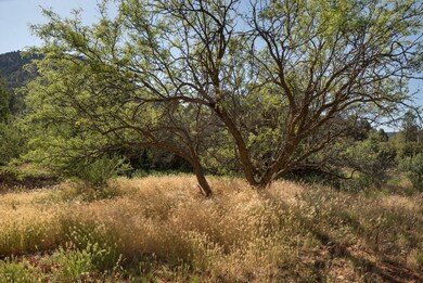.61 Acres - Level Lot