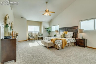 Spacious Primary bedroom with new carpet and cathe
