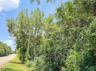 Tbd Hwy 69 N, Woodville, TX 75979 - photo 5