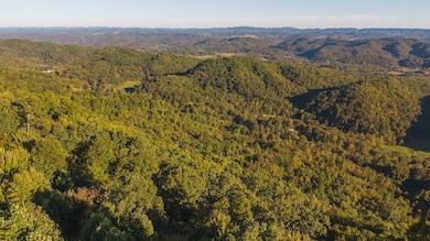 97 Acres Black Valley Rd, Sneedville, TN 37869 - photo 2