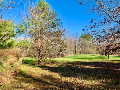 110 Beacon Light Rd, Muncy, PA 17756 - photo 6