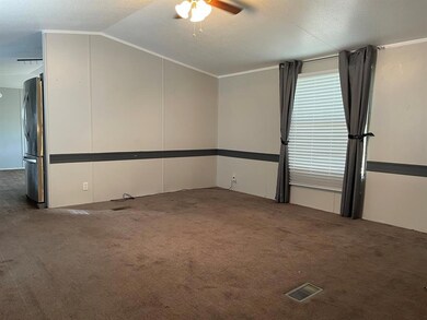 113 Lelon Ln, Springtown, TX 76082 - photo 5