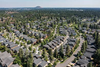 DJI_0996