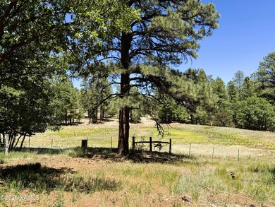 IMG_4896