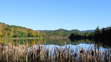 17 Stevens Lake, Great Barrington, MA 01230 - photo 2