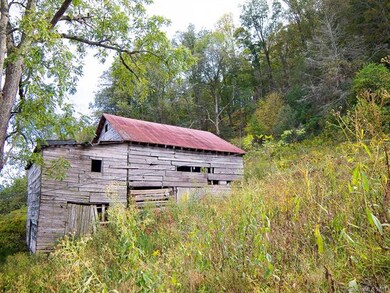 1641 Lickskillet Rd, Burnsville, NC 28714 - photo 4
