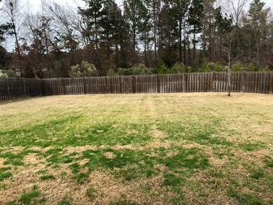 Large Fenced Backyard