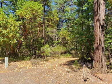 Southern Oregon Land 1