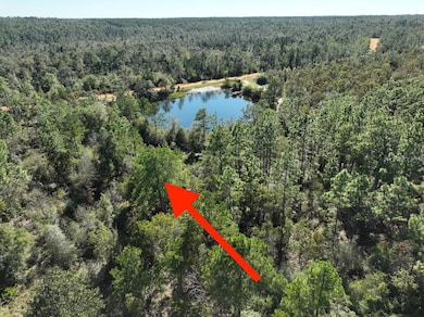 0 Richland St, Alford, FL 32420 - photo 2