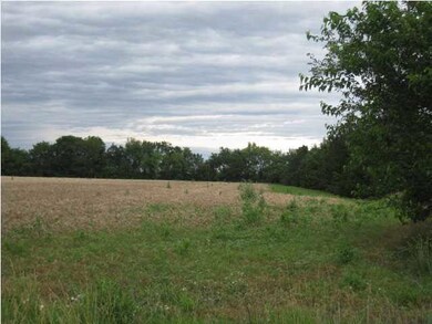 East side of acreage has a tree line to the north 