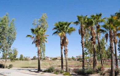magma ranch playground121