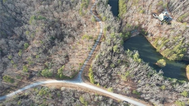 View of bird's eye view