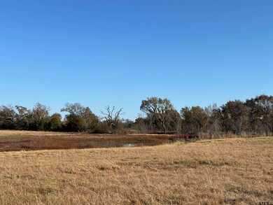 000 Fm 1653, Ben Wheeler, TX 75754 - photo 5