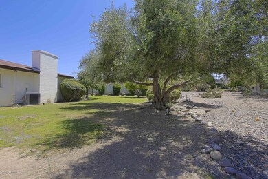 Back  Yard