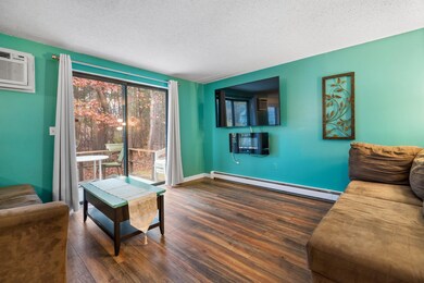 152 Indian Rock Rd, Merrimack, NH 03054 - photo 6