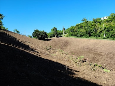 Km 5.9 Carr 413, Rincon, PR 00677 - photo 4