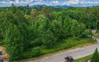 LT212 Old Toccoa Farm, Mineral Bluff, GA 30559 - photo 4