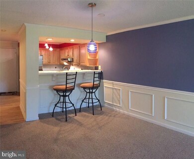 36011 Condo Dr unit A-105, Rehoboth Beach, DE 19971 - photo 5