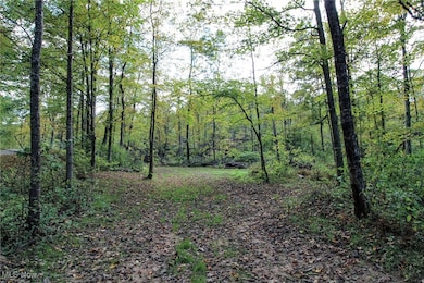 0 Cow Run Rd unit 5173911, Marietta, OH 45750 - photo 5