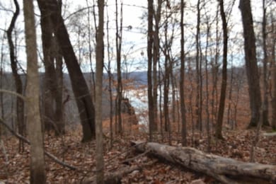 34.15ac Frogue Rd, Burkesville, KY 42717 - photo 4