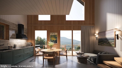 4101 and 4039 Supinlick Ridge Rd, Mount Jackson, VA 22842 - photo 2