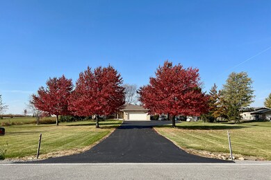 29756 S State Line Rd, Beecher, IL 60401 - photo 5