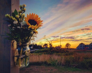 26 Abner Point Rd, Bailey Island, ME 04003 - photo 4