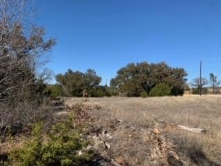 231 Cottongame Dr, Weatherford, TX 76088 - photo 2