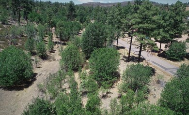 6283 Juniper Ridge Rd, Show Low, AZ 85901 - photo 2