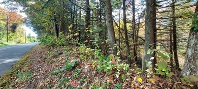 Lot-D Harkness Rd, Amherst, MA 01002 - photo 5