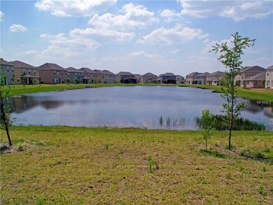 Rear Pond View