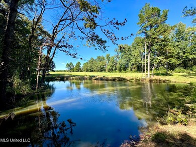 3114 Mathis Rd, Crystal Springs, MS 39059 - photo 5