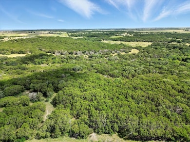 9100 W Bluestem Ct, Cleburne, TX 76033 - photo 5