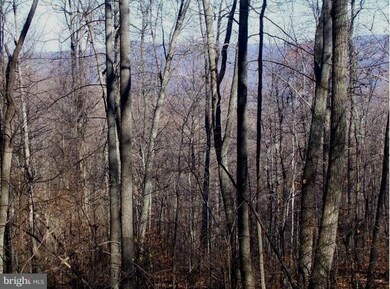 25 Mosby Spring Rd, Linden, VA 22642 - photo 2