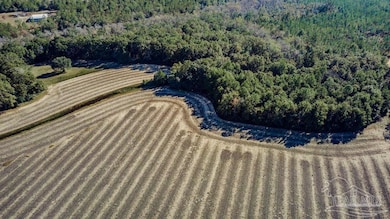 3A Segrest Rd, Chumuckla, FL 32571 - photo 3