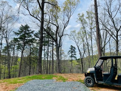 0 Georgia 136, Talking Rock, GA 30175 - photo 7