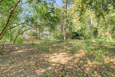 45 Stillforest St, Houston, TX 77024 - photo 4