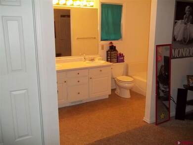 0 NE Knottypine Ct unit 704906, Cedaredge, CO 81413 - photo 7