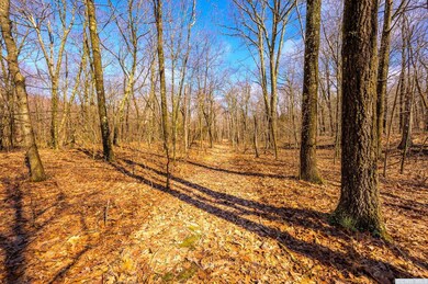 131 Benton Rd, Gallatin, NY 12502 - photo 4